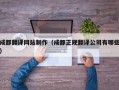 成都翻译网站制作（成都正规翻译公司有哪些）